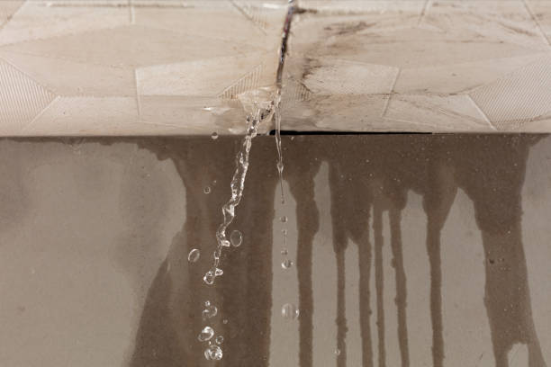 Professional Burst Pipe Cleanup technician working in Abernathy, TX
